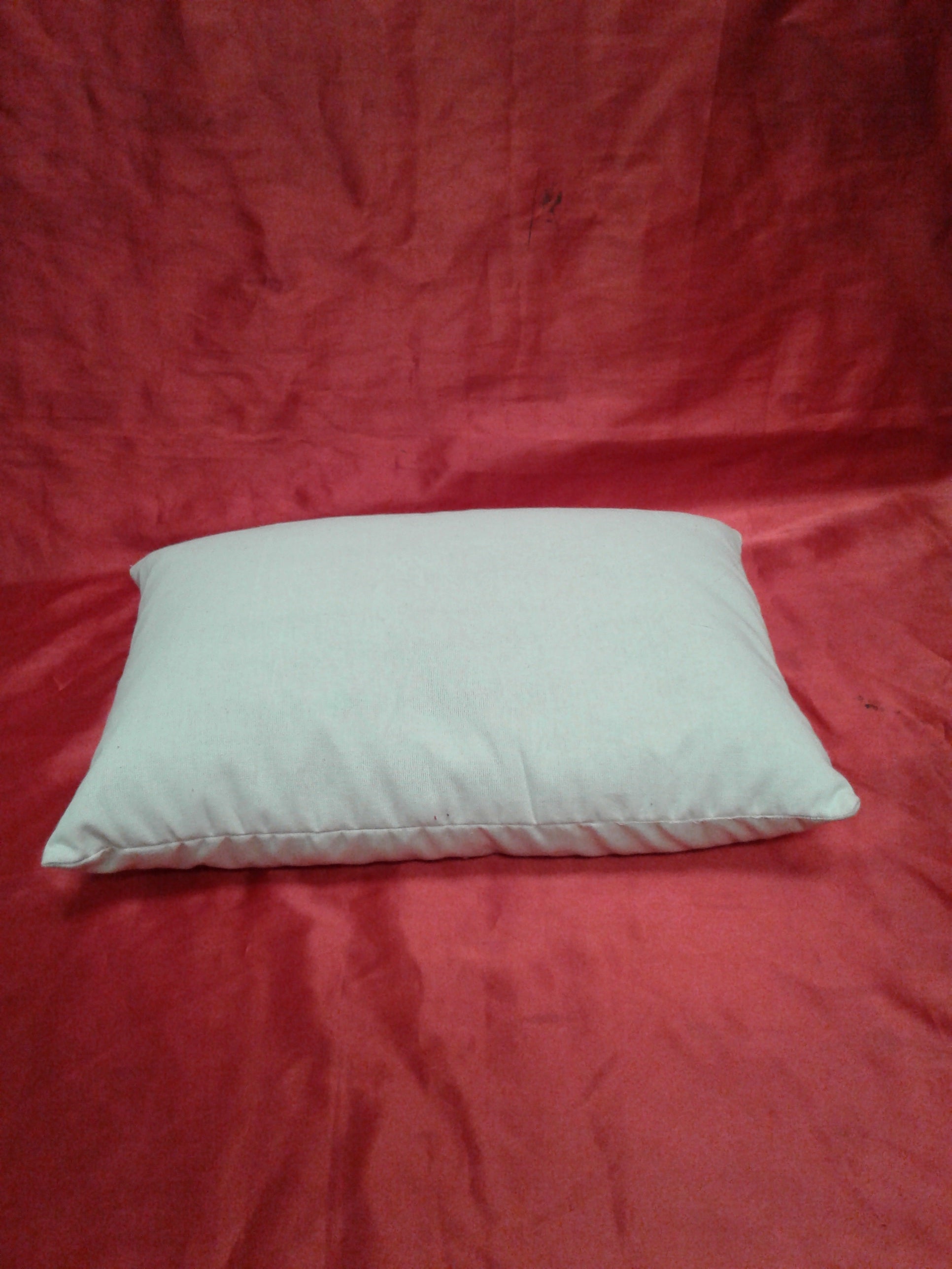 PIL 102 Organic Buckwheat Pillow Canada